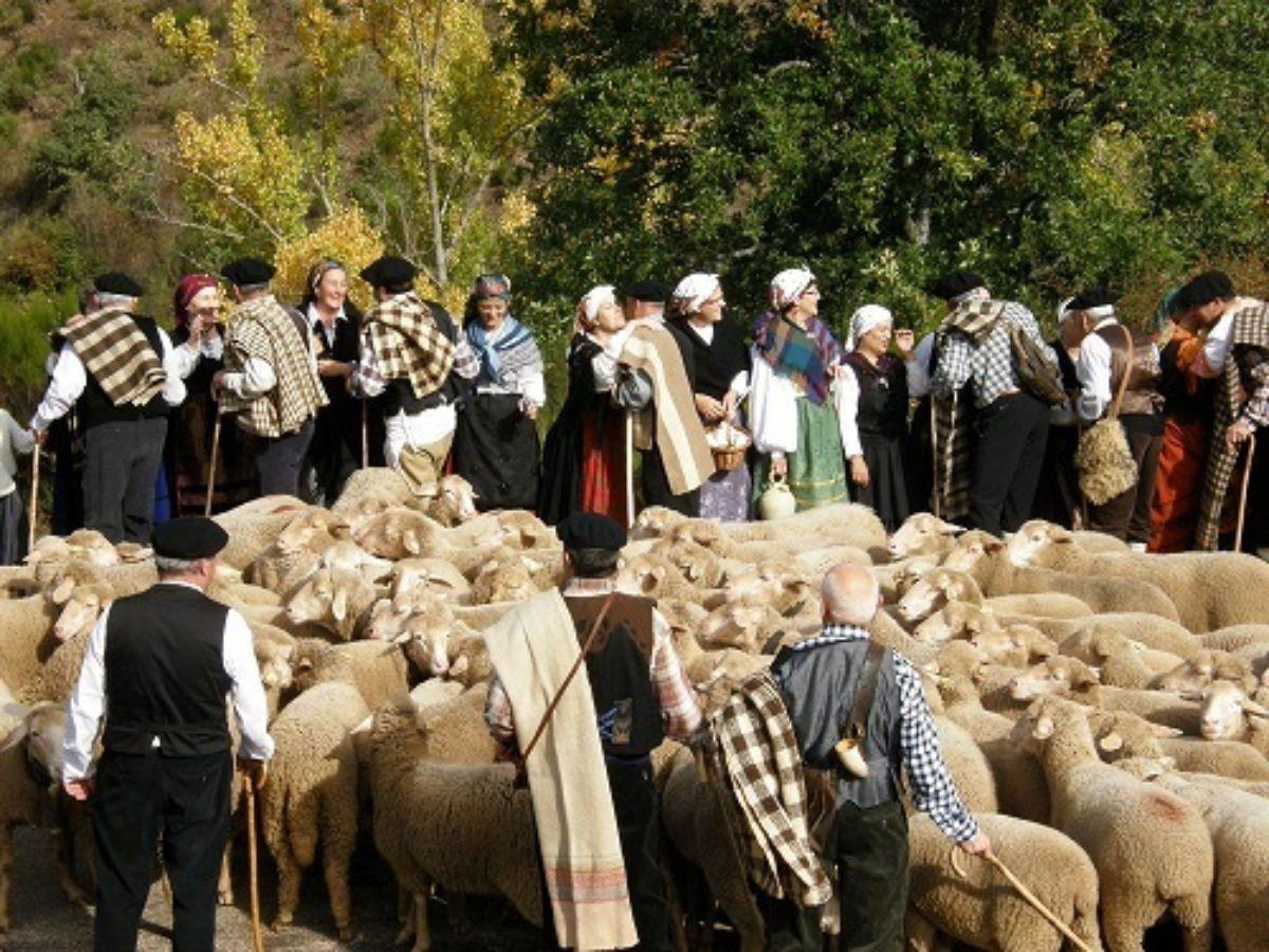 C'est une pratique déclarée Patrimonio de la Humanidad