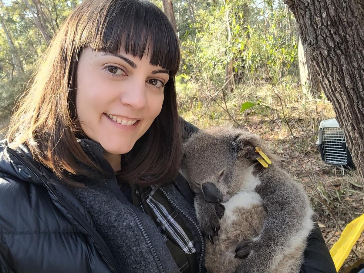 La Dra.  Valentina Mella soutient un koala marqué.