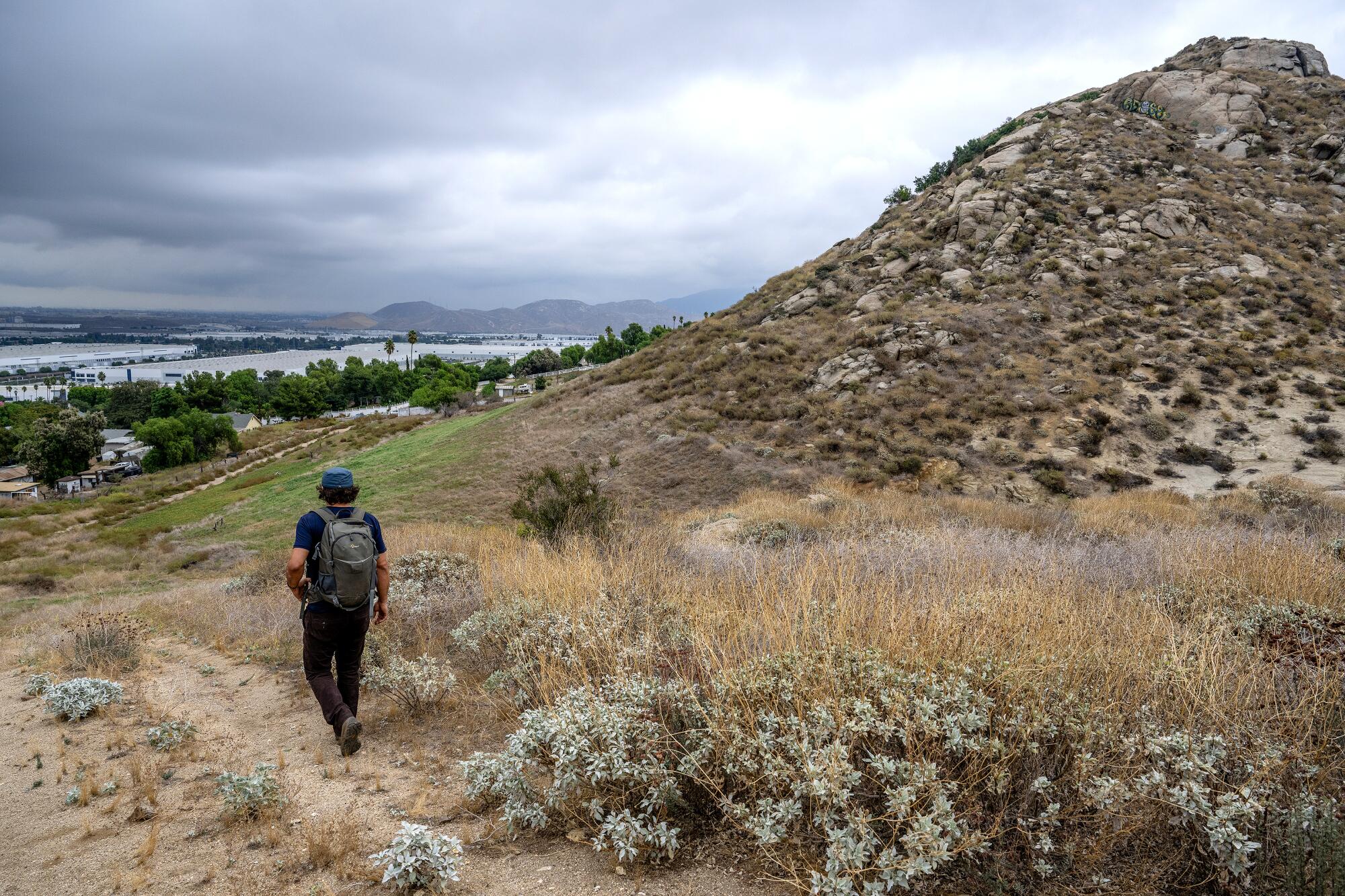 Aaron Echols marche le long d'un chemin de terre dans un canyon où se trouve le chêne de Palmer dans la vallée de Jurupa.