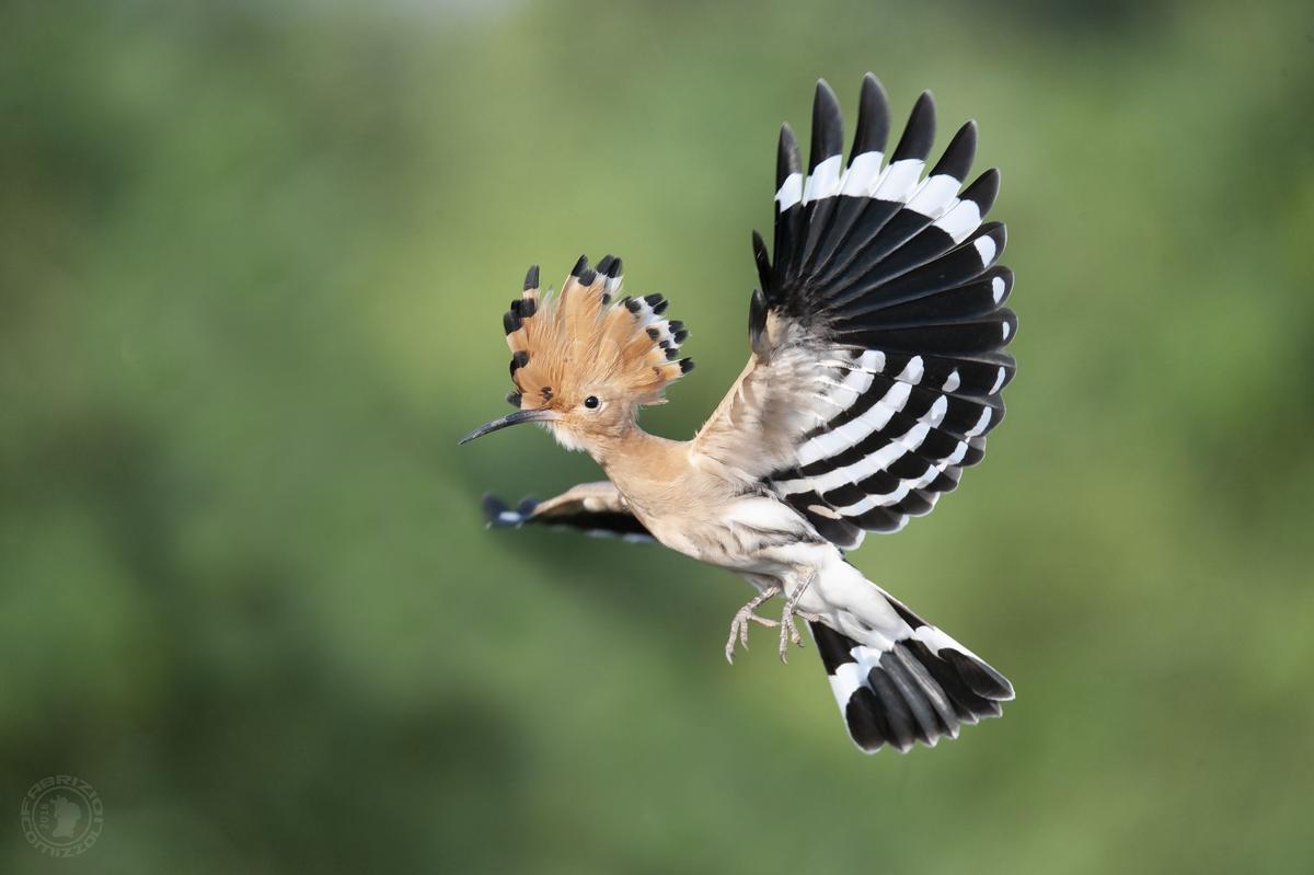 Exemple en vuelo