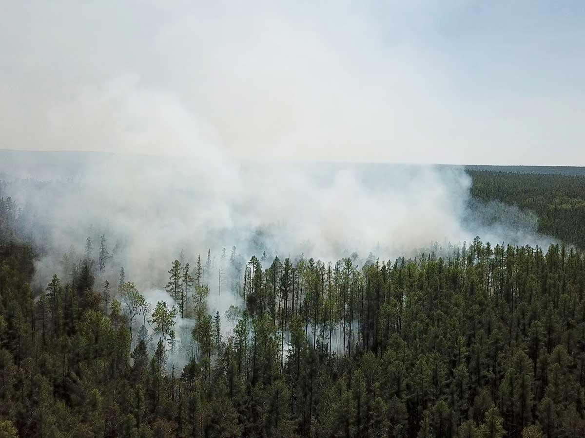 Incendie forestier dans l'Arctique
