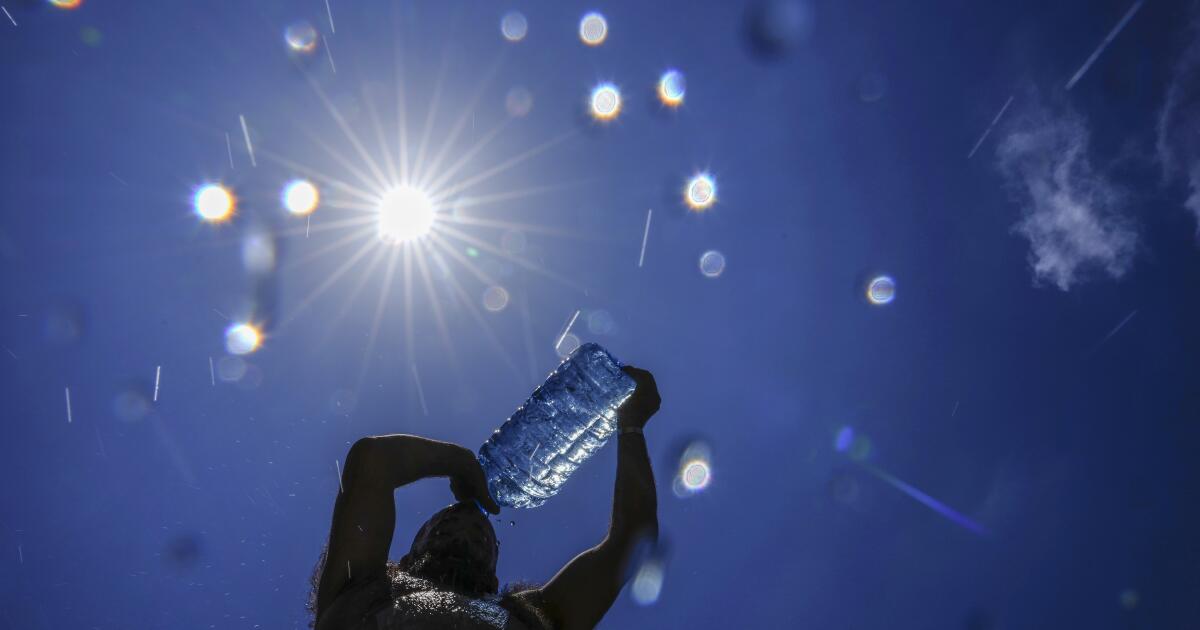 Comment la chaleur tue-t-elle ?  Cela perturbe votre cerveau.  Cela arrête vos organes.