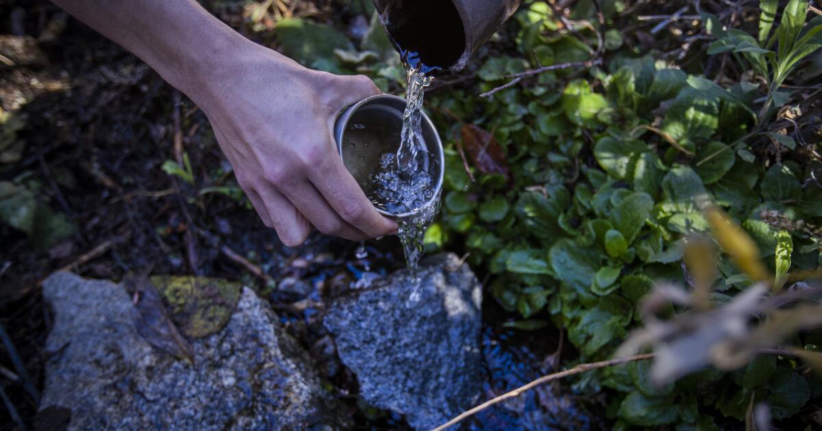 Des écologistes intentent un procès contre une entreprise de vente d'eau en bouteille en Californie