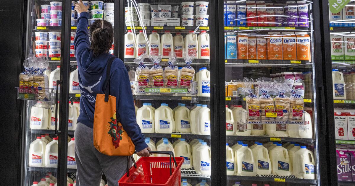 Face à la grippe aviaire, les législateurs de certains États veulent légaliser le lait cru