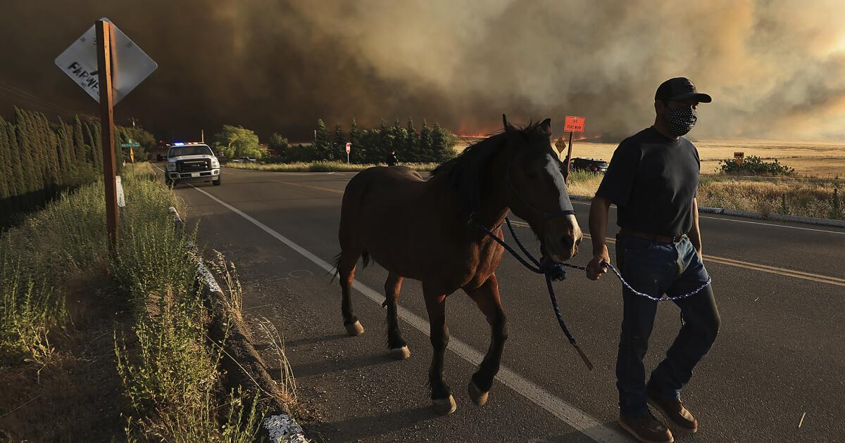 L'incendie d'un corral blesse 2 pompiers ;  les avertissements d'évacuation levés