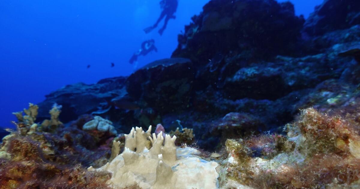 La Cour des océans a statué que les mers étaient en désordre.  Pourquoi n'en avez-vous pas entendu parler ?