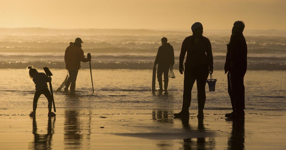 La côte de l'Oregon fermée à la récolte de moules en raison d'un empoisonnement aux fruits de mer