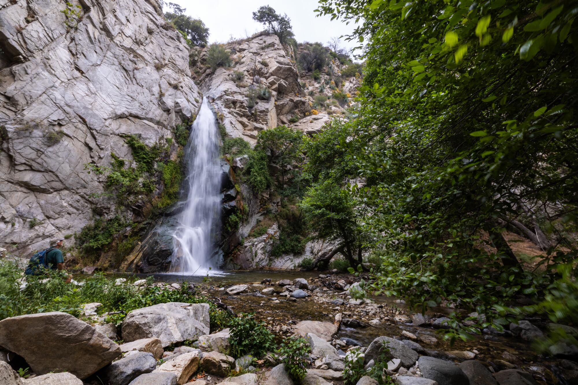 Une cascade tombe d'une falaise rocheuse dans un bassin. La zone autour des chutes de Sturtevant est fermée depuis 2020.