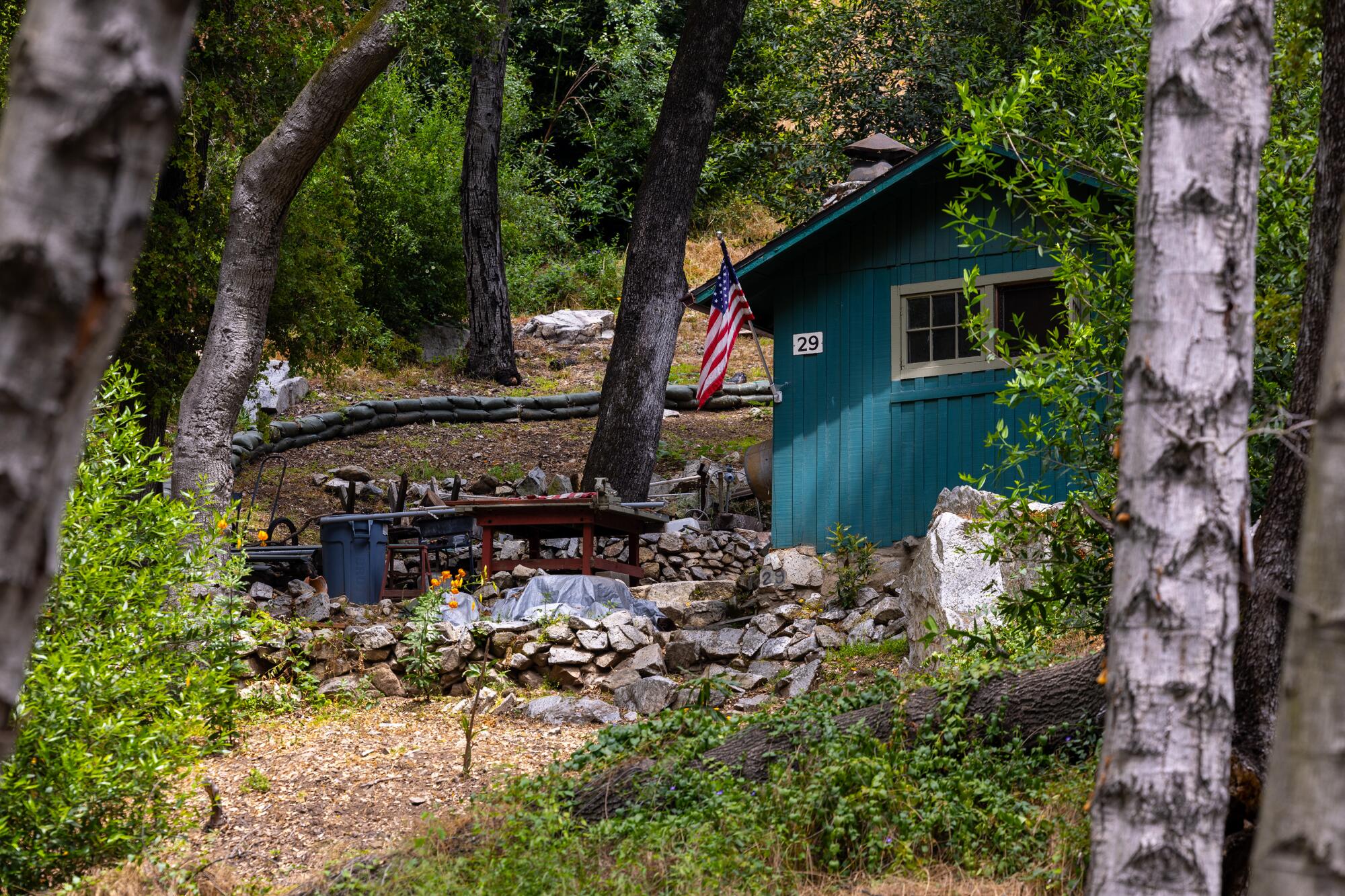 Cabane 29, nichée dans les arbres et arborant un drapeau américain.
