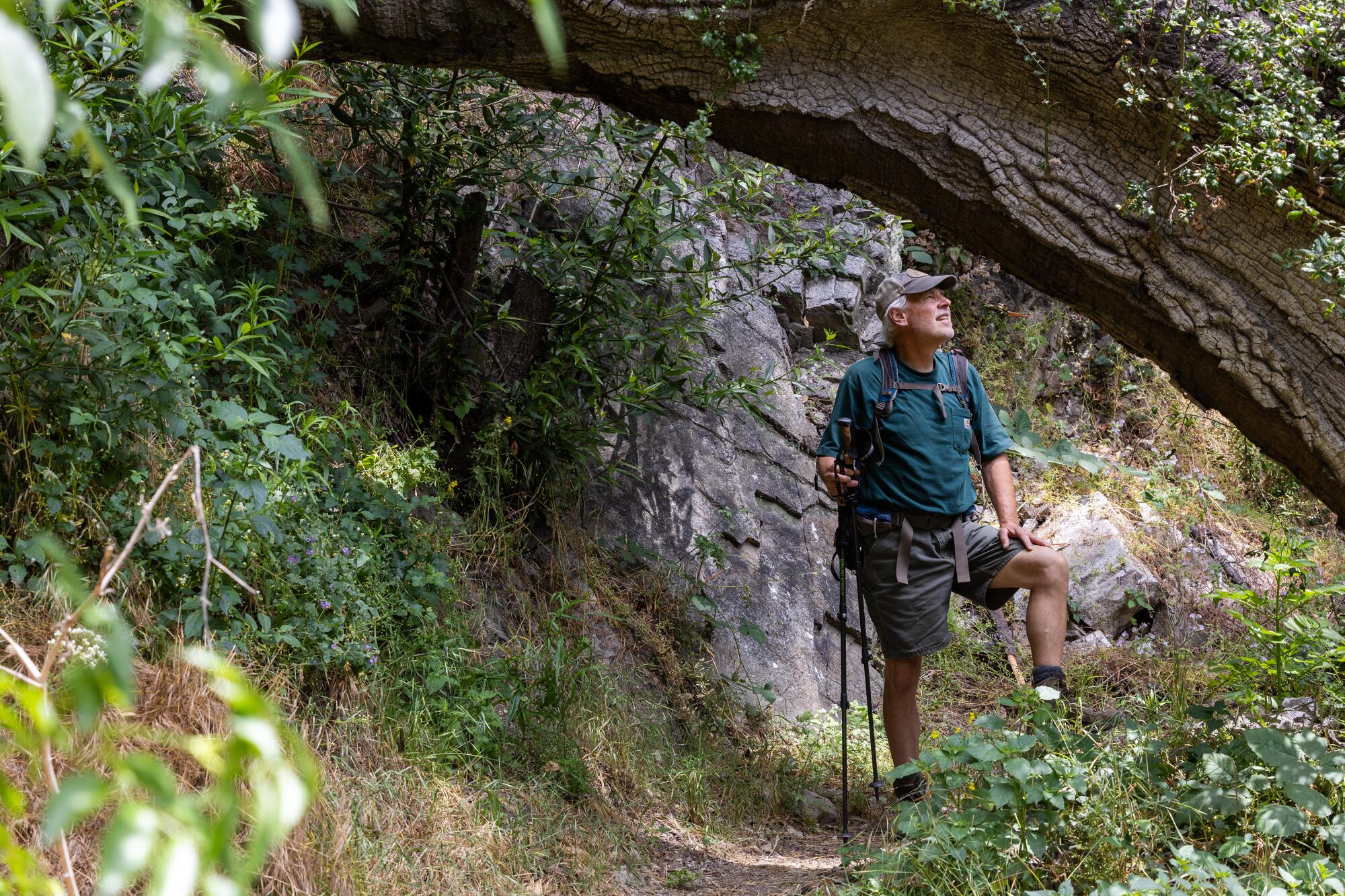 Chris Kasten admire le paysage de montagne et de forêt.