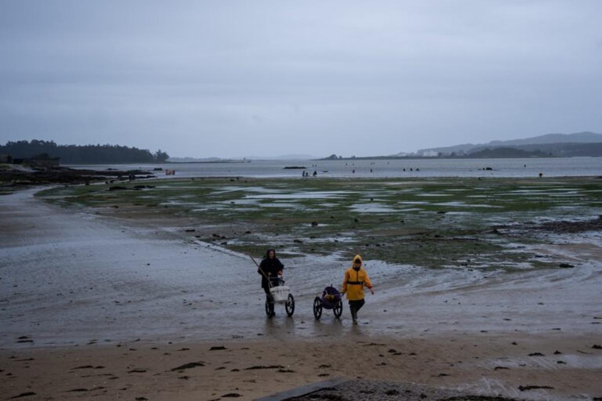 Cambados, village de pêcheurs de Galice