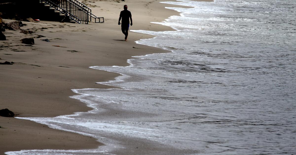 Voici les plages de Californie avec des niveaux élevés de bactéries