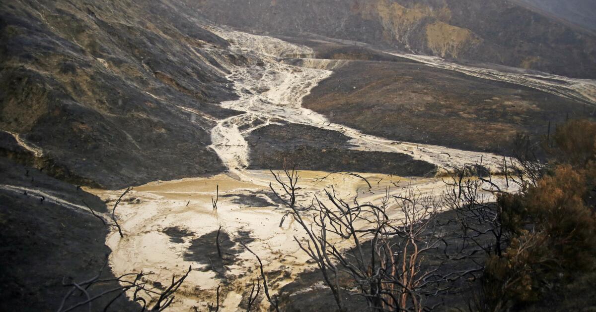 L'aggravation des incendies de forêt et les pluies ont accéléré l'érosion à travers la Californie