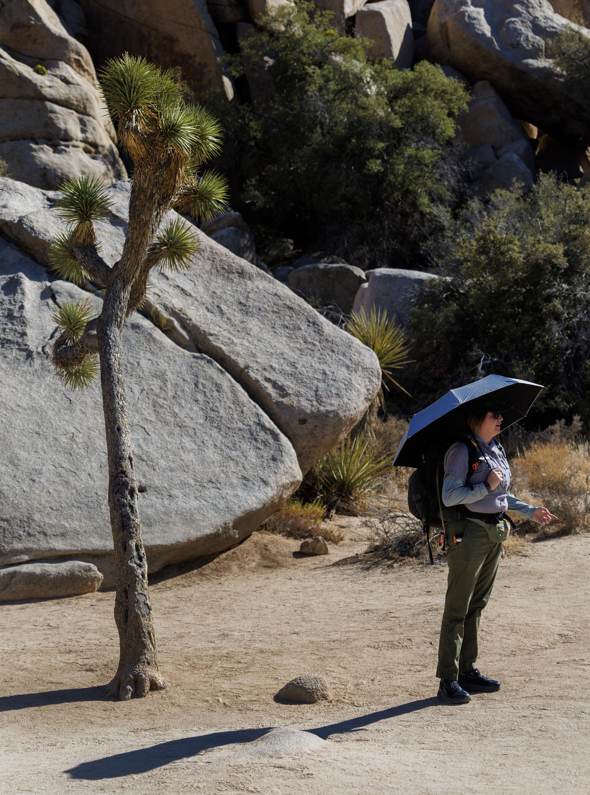 La garde forestière Anna Marini reste au frais sous un parasol.