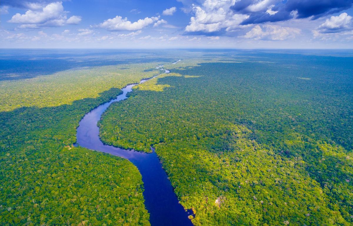 Le Brésil, le pays avec la plus grande biodiversité de la planète