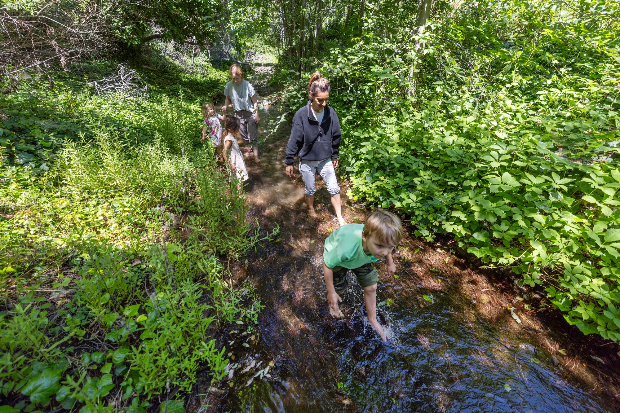 Les enfants explorent un ruisseau.