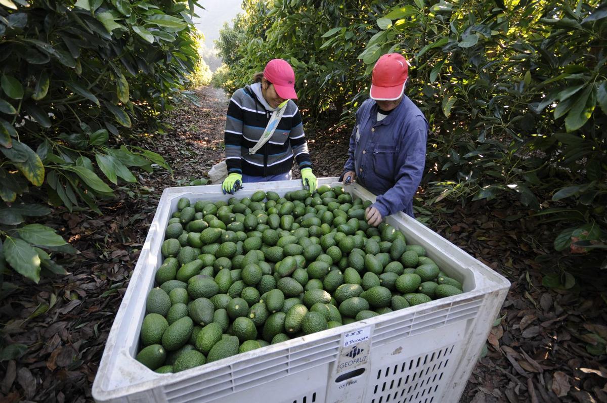Agriculteurs en une exploitation de l'eau