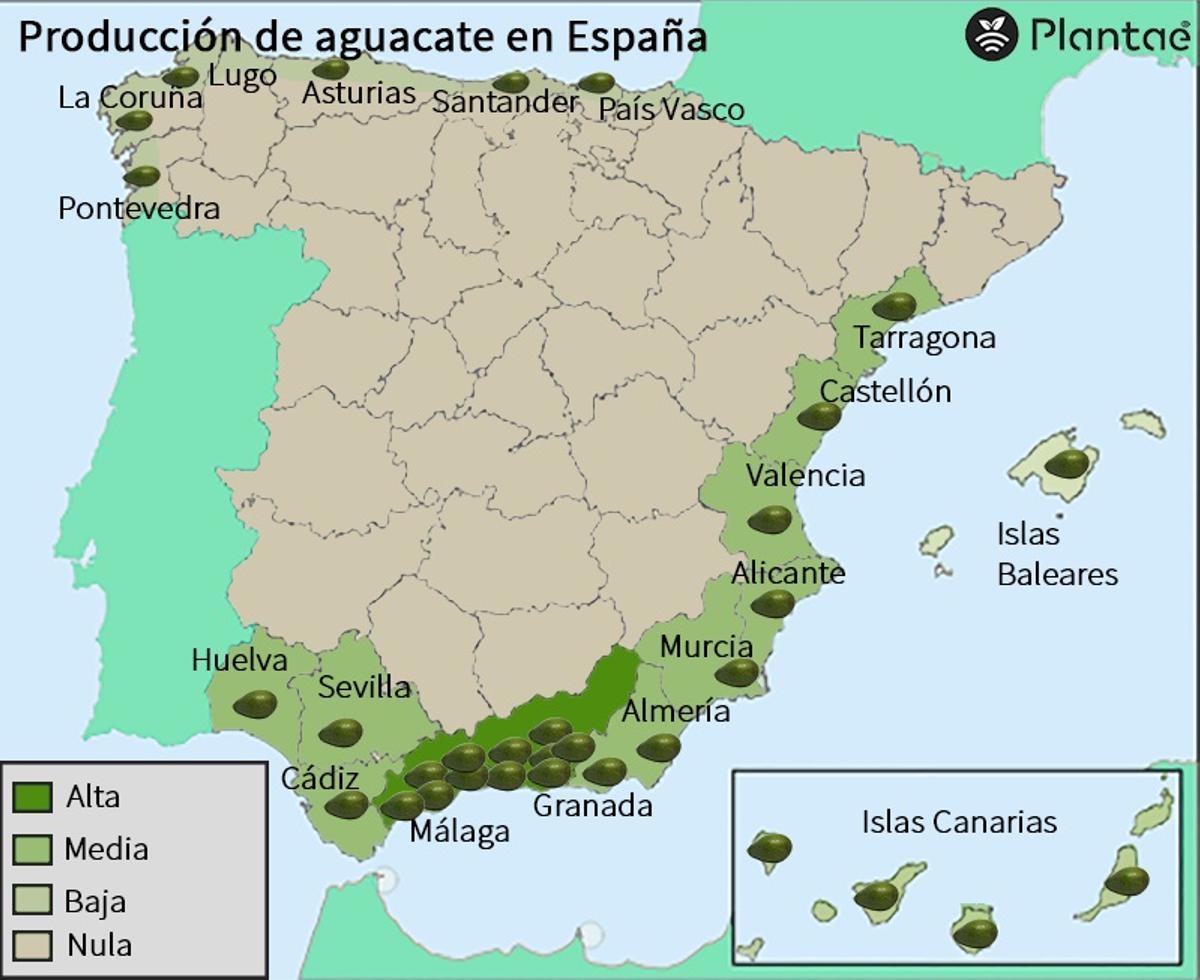 zones de culture de l'aguacate en Espagne