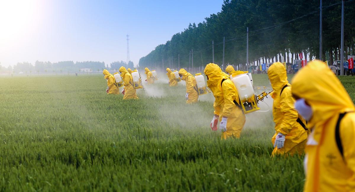 L'agriculture actuelle abuse des plaguicidas