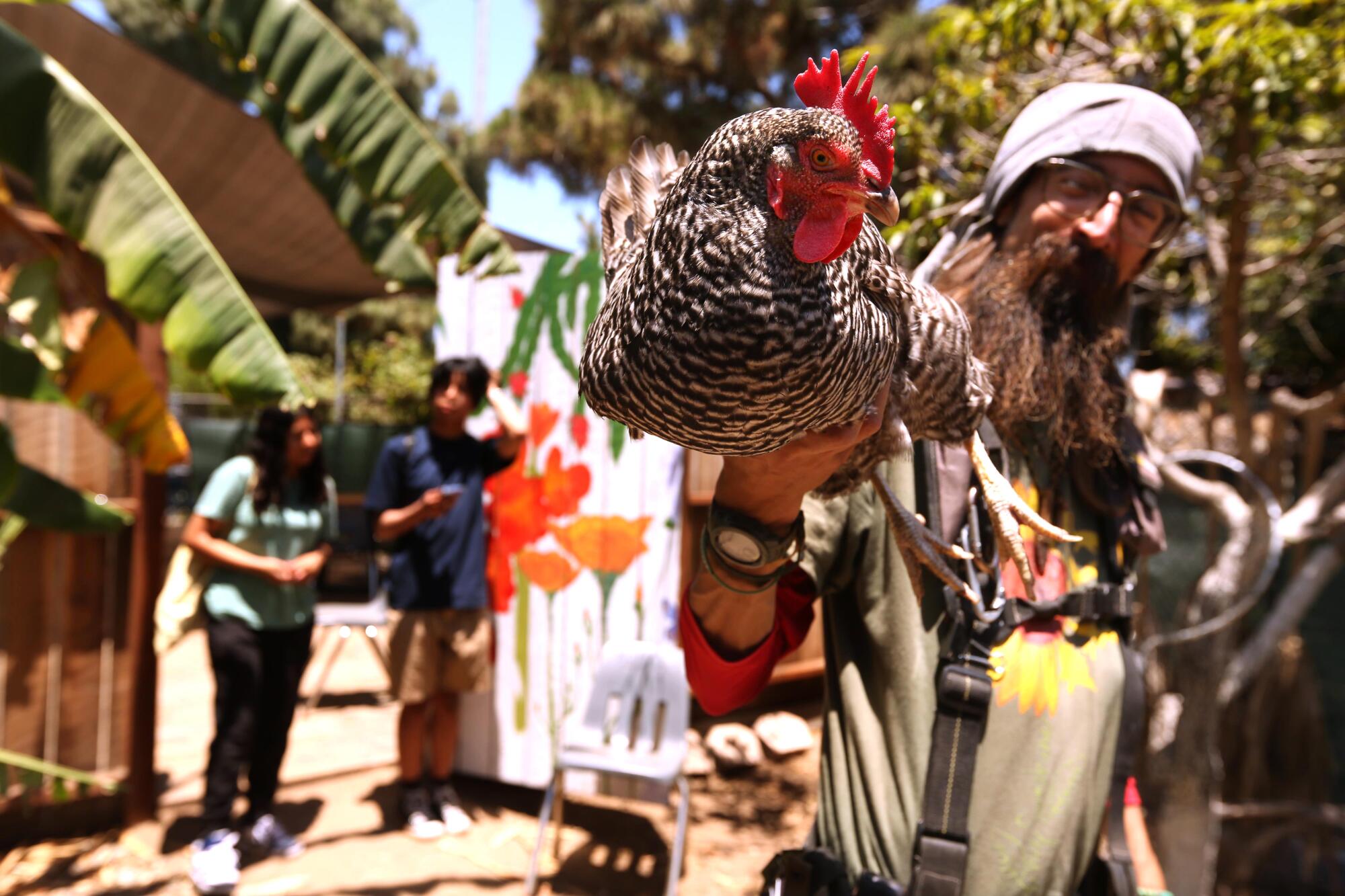 Un homme tient un poulet. 