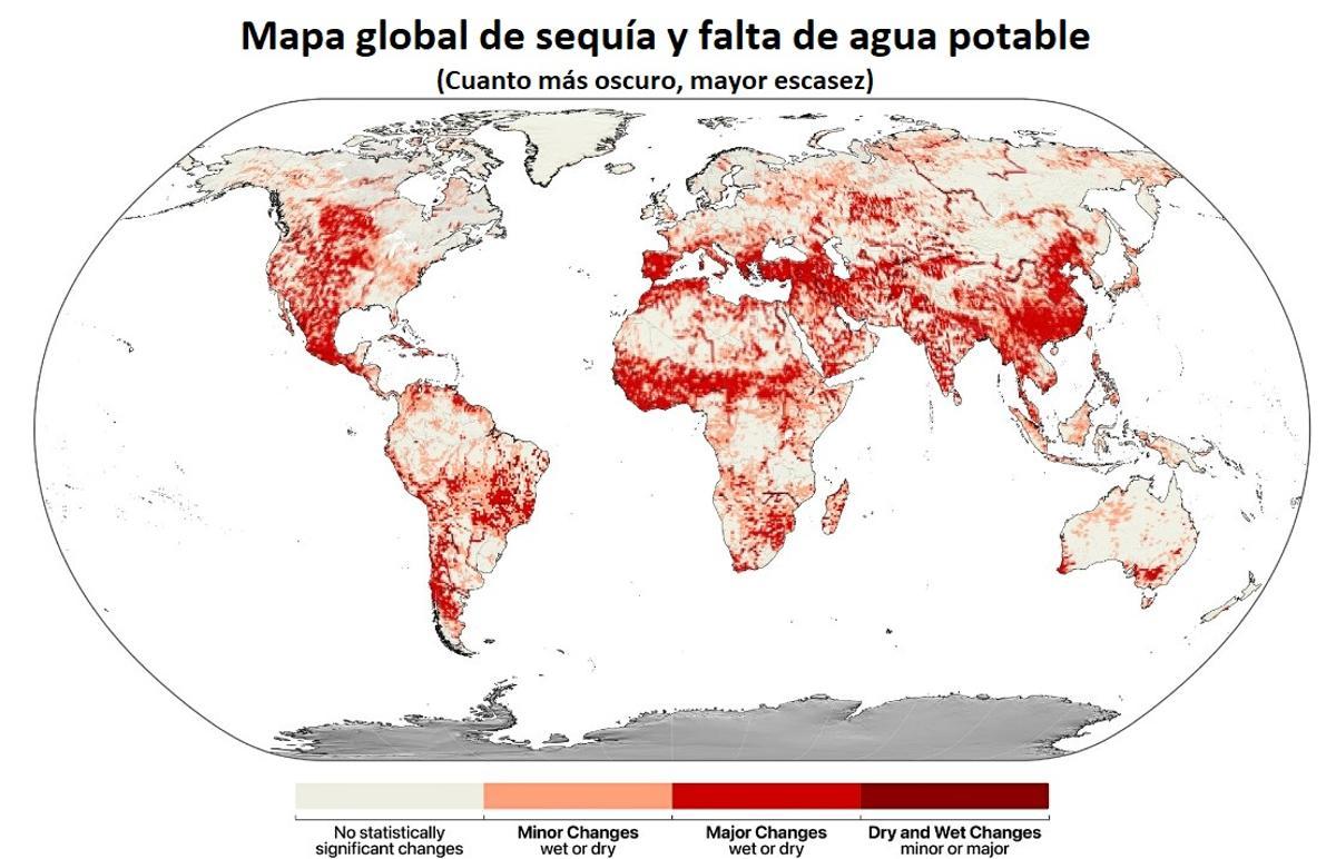 Séquoia et écorce d'eau