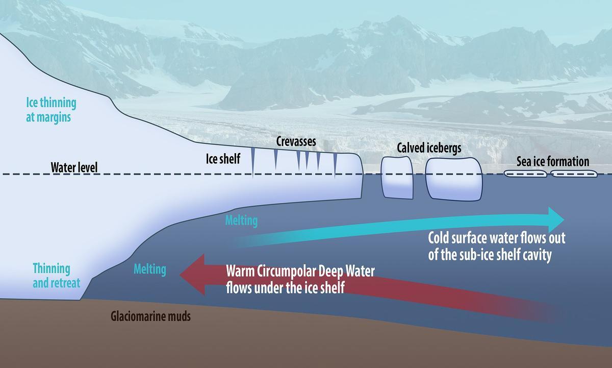 Forme en ce que l'eau chaude de la mer va socavando la partie inférieure du glacier