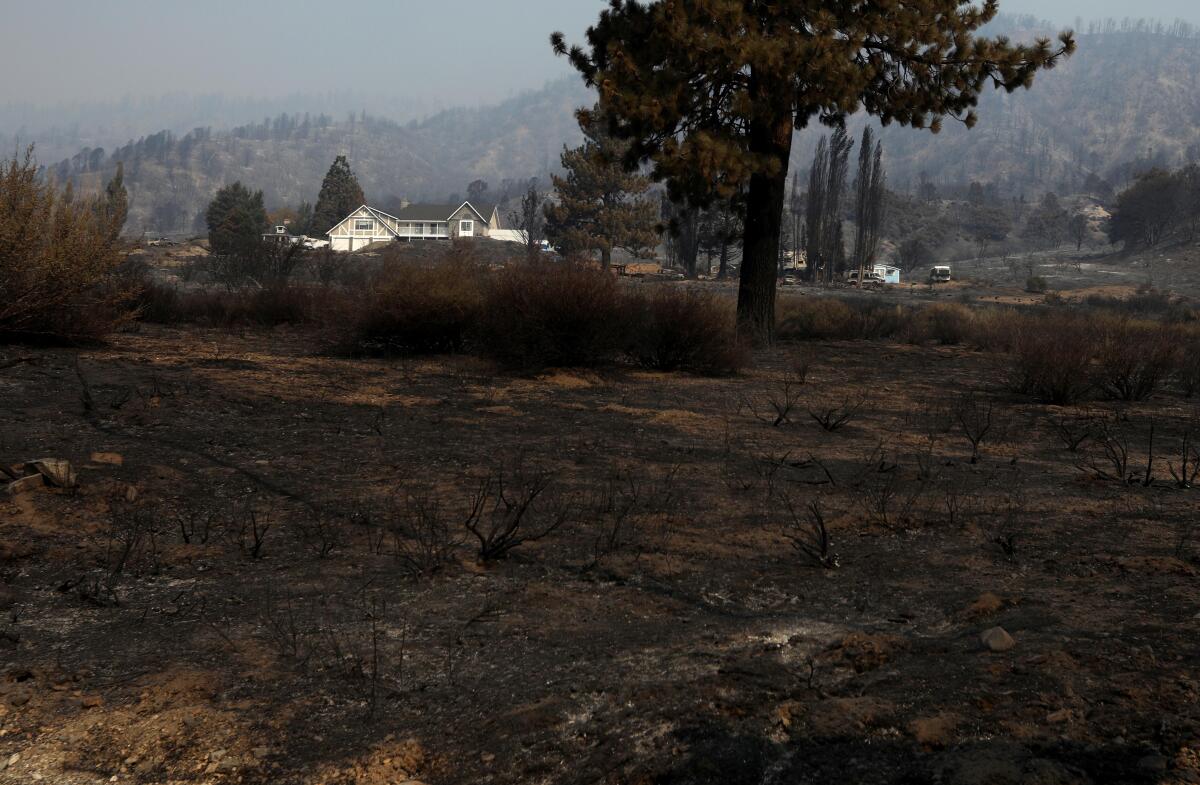 Un paysage calciné entoure une maison qui a survécu à l'incendie du pont à Wrightwood. 