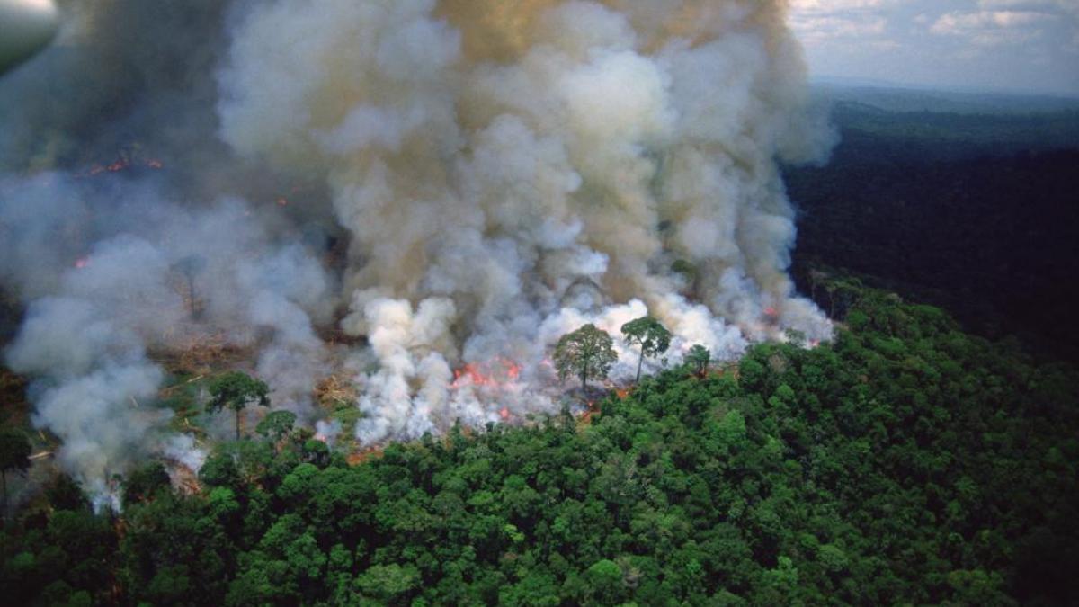 Il se produit également de nombreux incendies en Amazonie