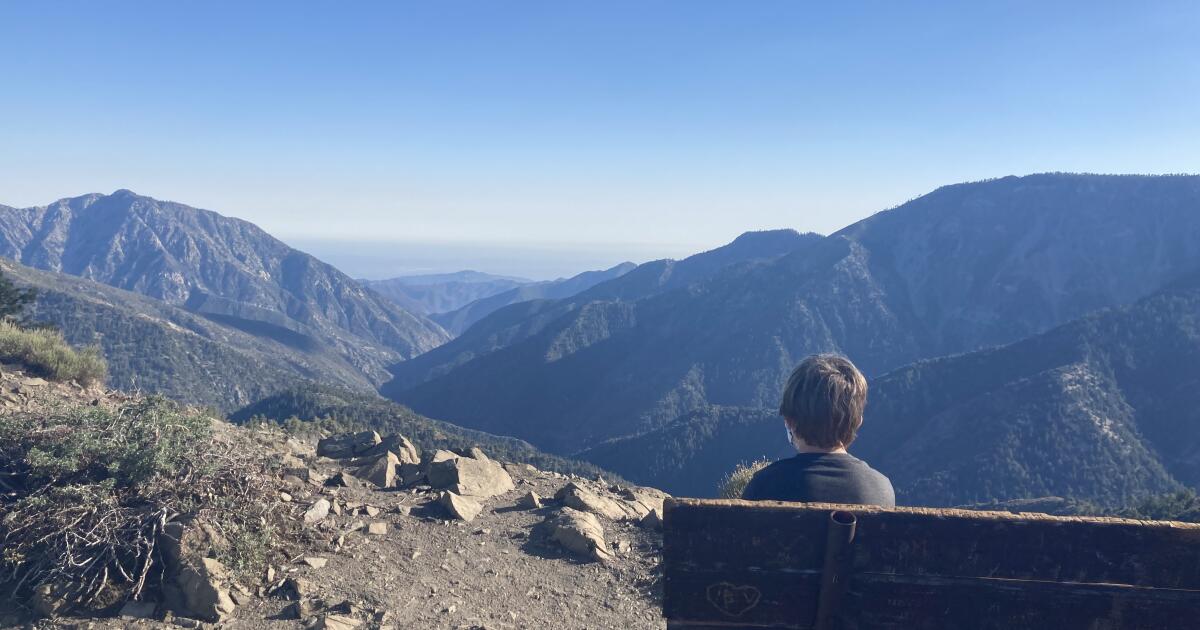 Fermer l'accès aux forêts du sud de la Californie pour éviter de nouveaux incendies
