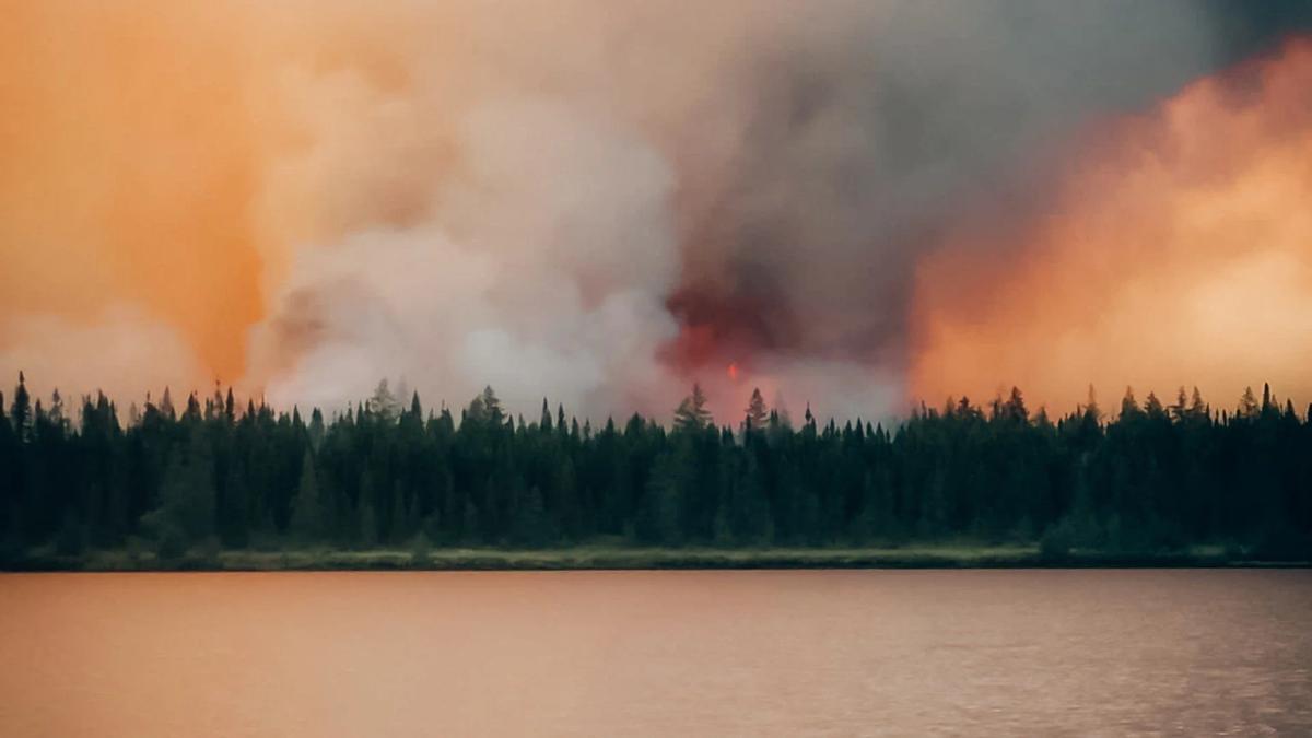 Les incendies au Canada sont des dévastateurs particuliers