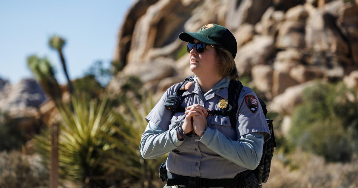 L'équipe du parc national de Joshua Tree travaille pour prévenir la catastrophe