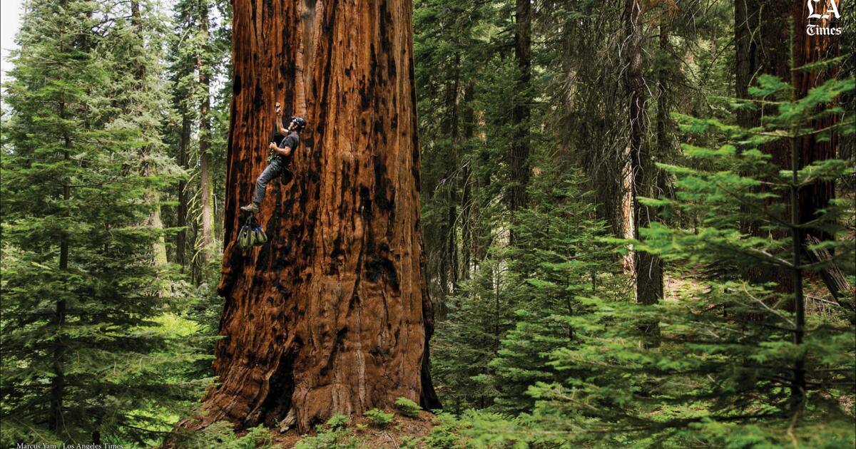 La Californie se rapproche de l'objectif de conservation « 30x30 »