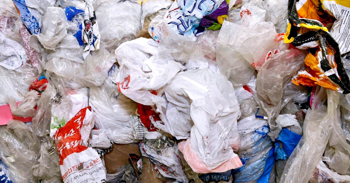 Le gouverneur Gavin Newsom signe une loi interdisant les sacs en plastique en Californie