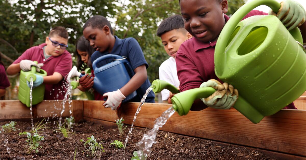 Les enfants apprennent à être conscients du climat au milieu des arbres, des parterres de fleurs et des herbes