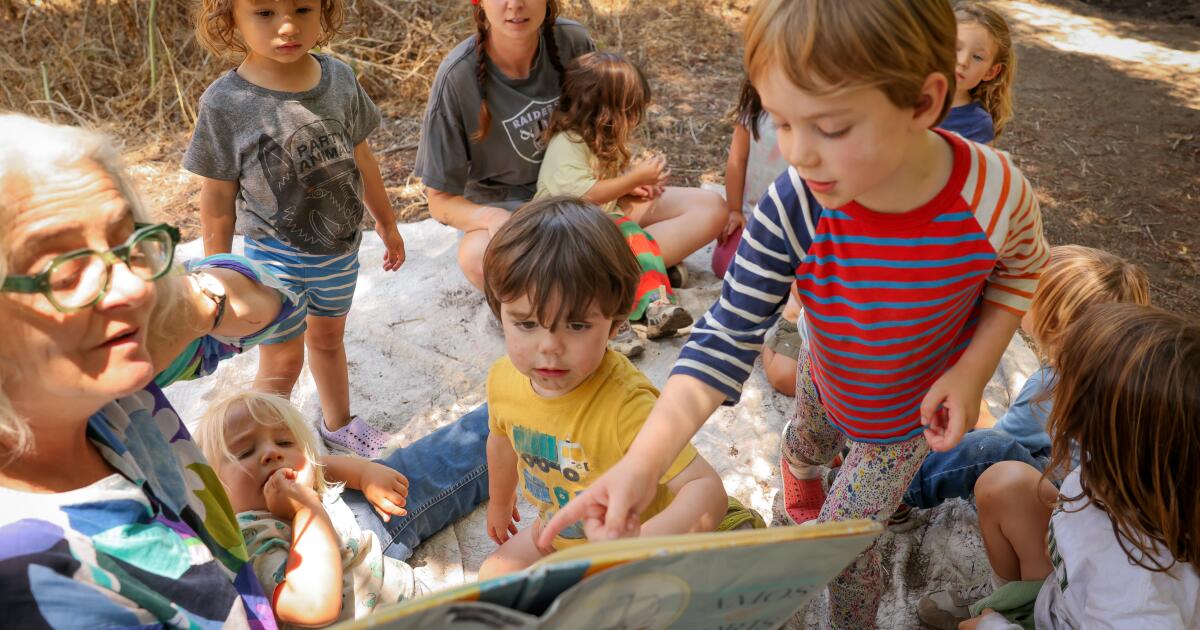 Les enfants sont rivés aux écrans. Les « écoles en forêt » sont-elles l’antidote ?