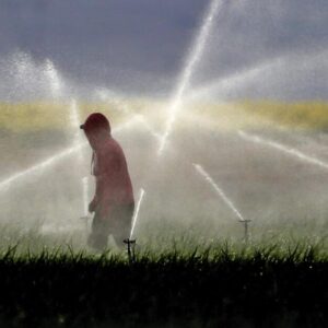 La Californie va éliminer progressivement le paraquat, un désherbant associé à de graves problèmes de santé