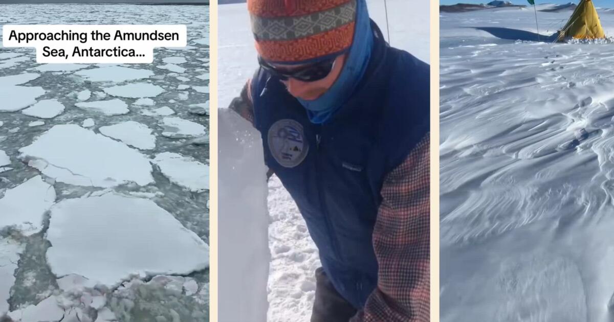 Les scientifiques deviennent une source d'espoir et d'information sur TikTok et Instagram