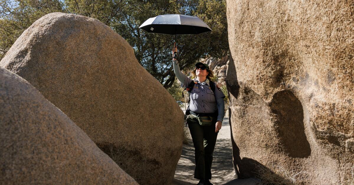 Parc national de Joshua Tree : comment rester en sécurité et quoi emporter