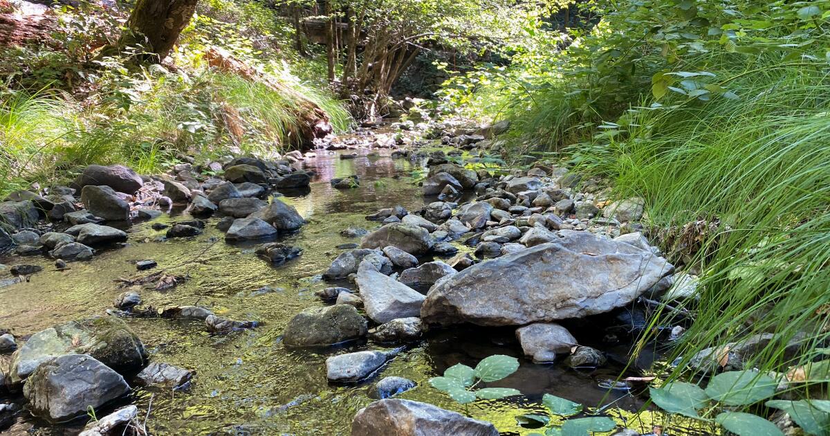 Une décision de justice pourrait limiter le pompage des eaux souterraines de Sonoma
