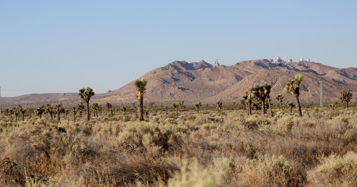 Une ville du désert de Californie proteste contre un projet d'énergie solaire