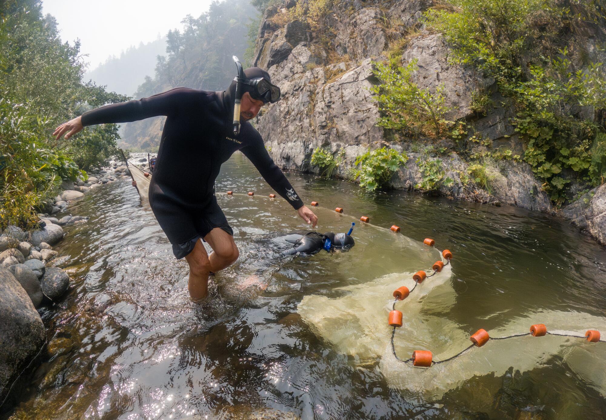 Les membres d'une équipe de pêche de la tribu Karuk mènent une enquête sur les saumons juvéniles dans le ruisseau Wooley.