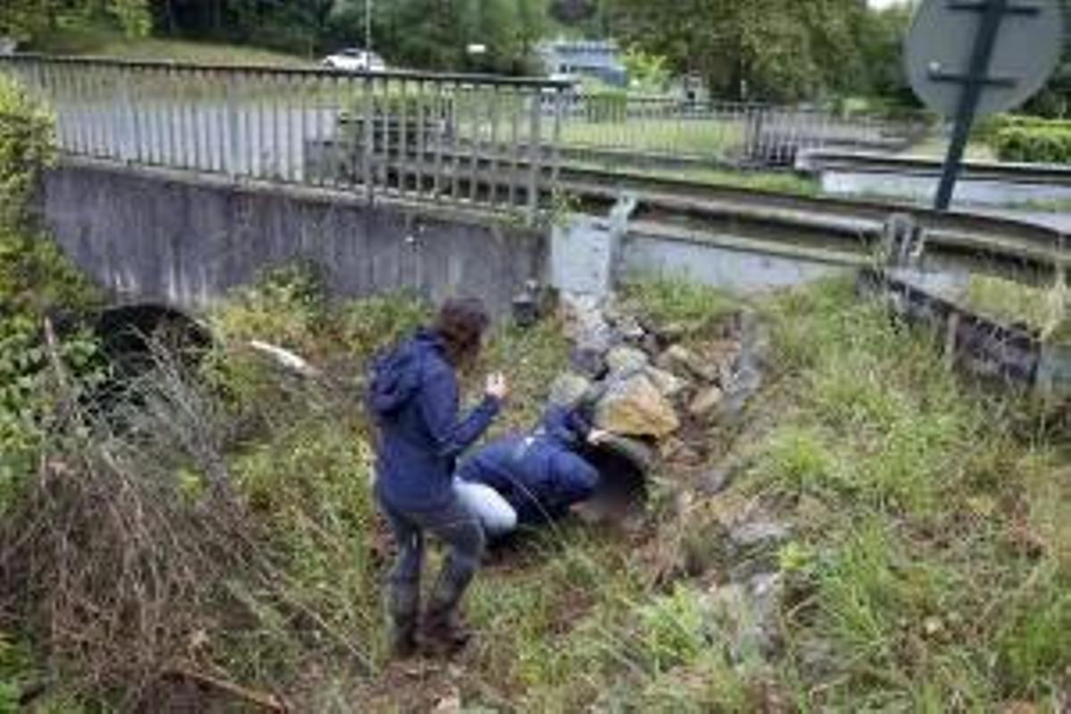 Collecteur installé pour permettre le paso seguro bas la carretera de visones europeos.