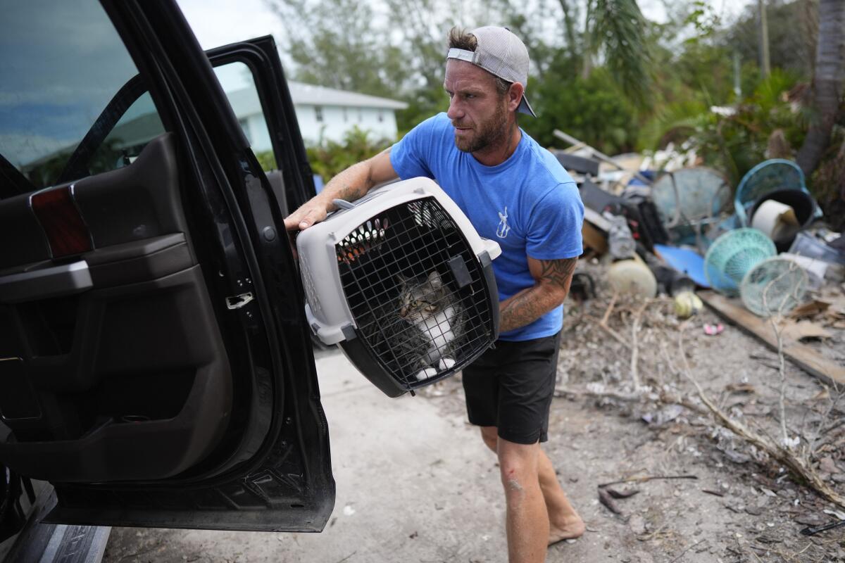 Un homme charge une cage de transport avec un chat à l'intérieur dans un véhicule.