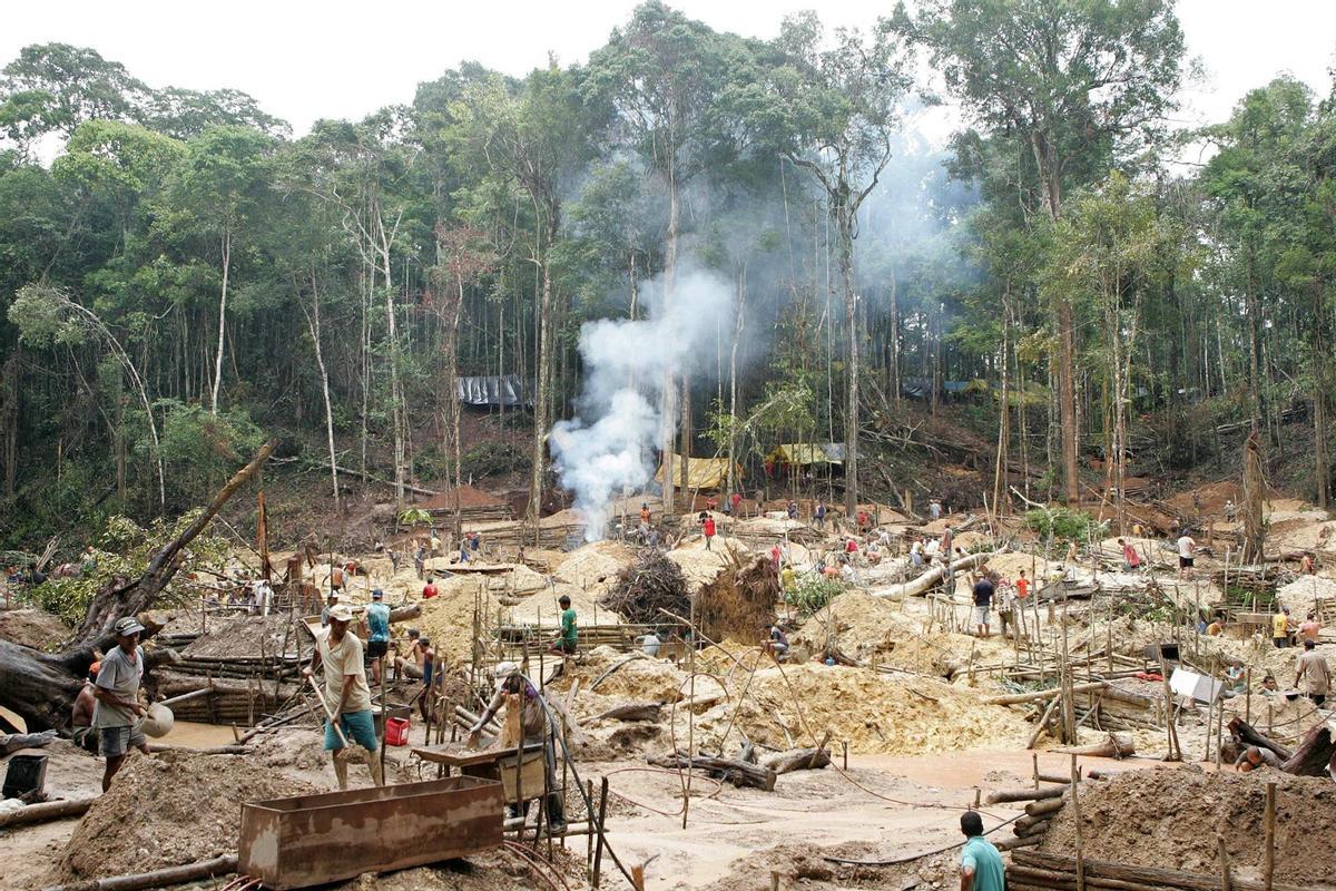 Campamento connu comme 'Garimpo da Fofoca' de mine ilgeal en Amazonía.