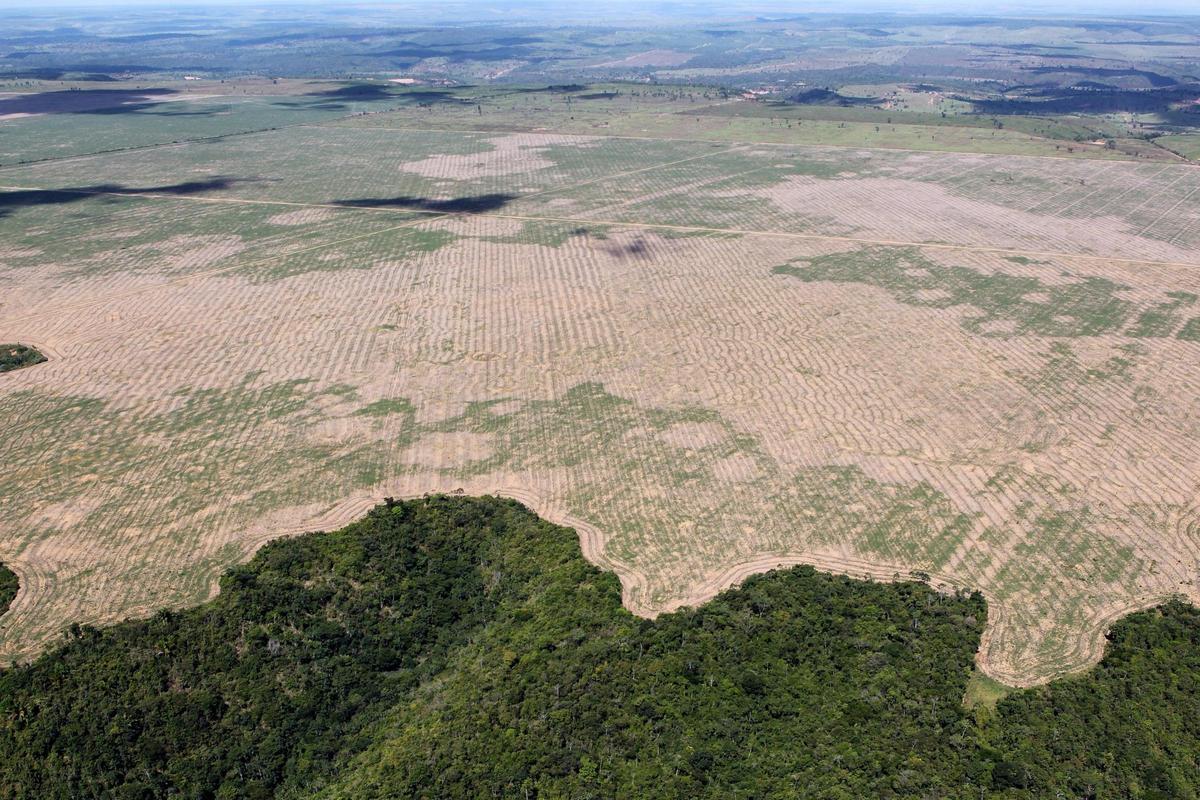 Déforestation en Amazonie du Brésil.