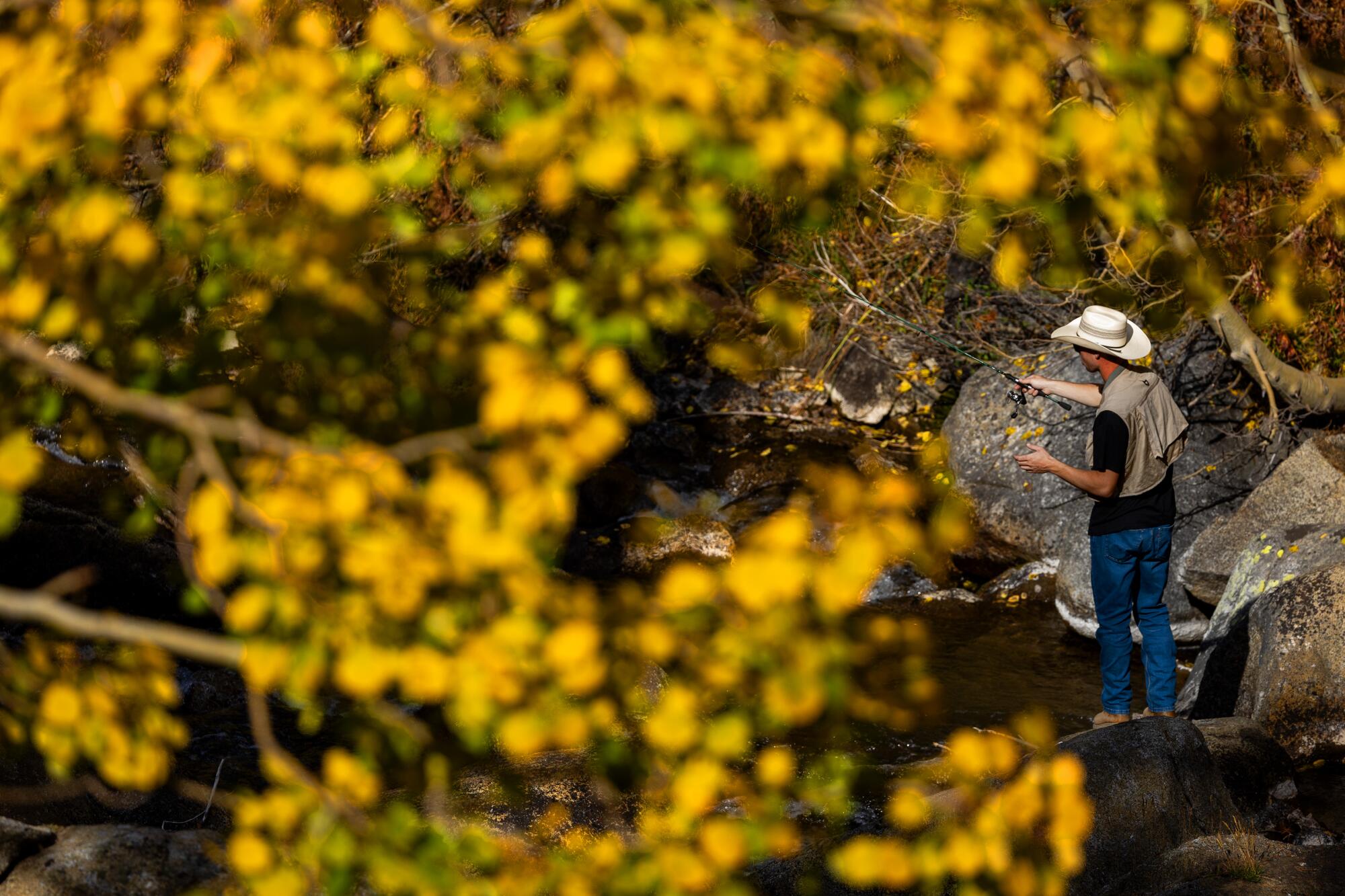 Un pêcheur, entouré de feuilles dorées, jette sa ligne dans Bishop Creek.