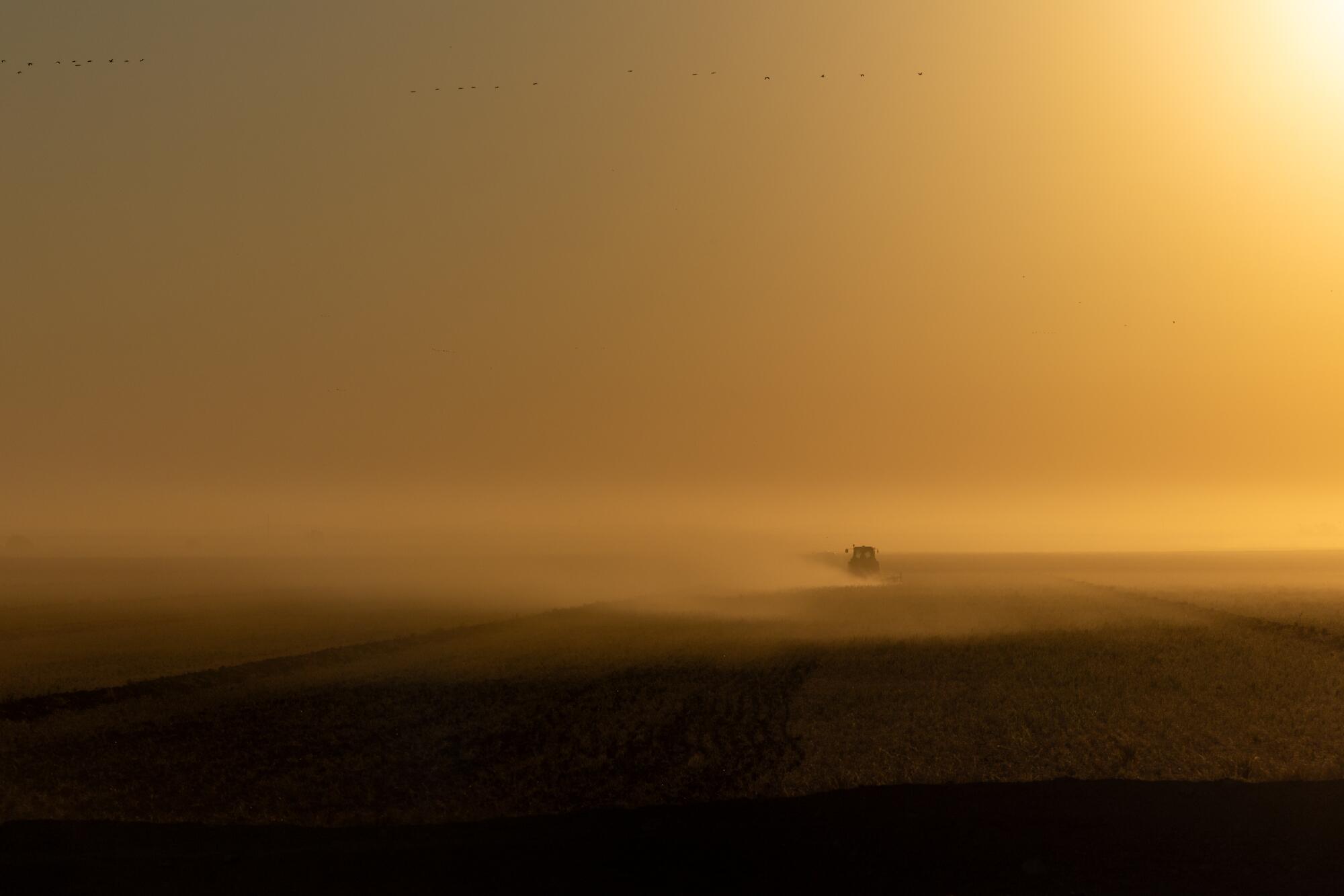 Le tracteur d'un agriculteur de l'Imperial Valley soulève un nuage de poussière au lever du soleil.