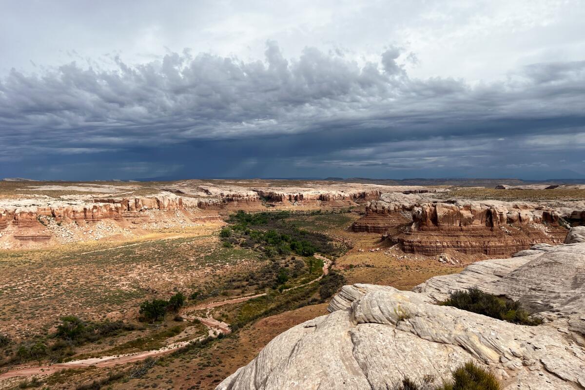 Une vue de Cottonwood Wash, situé dans le monument national Bears Ears dans l'Utah.