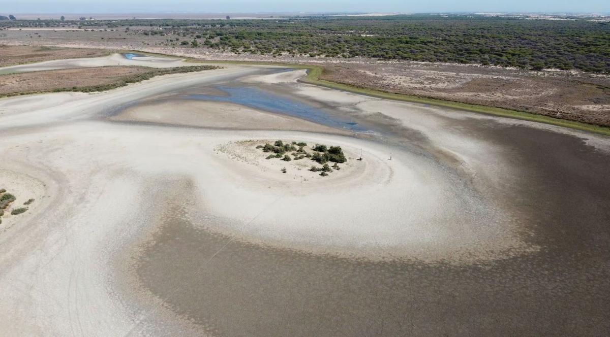 Doñana se enfrenta a una situación crítica