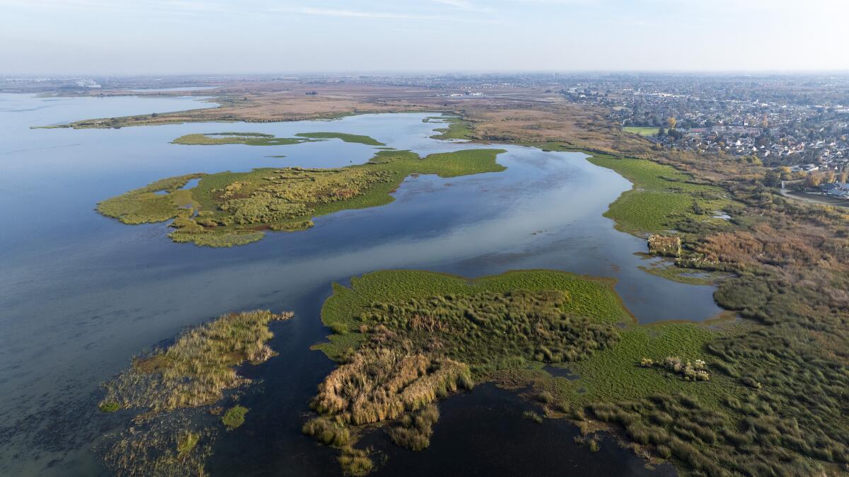 Îles de l'estuaire sur Big Break, une petite baie sur la rivière San Joaquin.